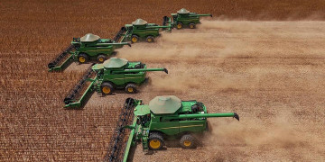 Cerca de 80% do valor da produção agrícola do Piauí está concentrado em 9 municípios, diz IBGE