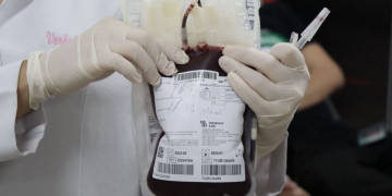 Hemopi adota novas regras para doação de sangue no Piauí; veja o que mudou