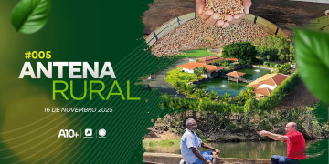 Feijão, turismo e estreia de série especial: assista agora ao Antena Rural deste domingo (16.11)
