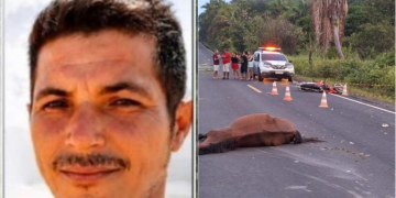 Homem morre após bater motocicleta contra cavalo no interior do Piauí