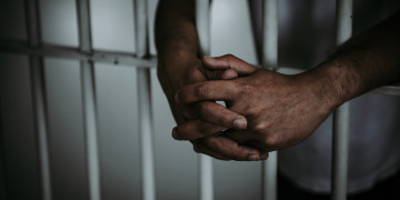 Pedreiro é preso por suspeita de estuprar cadela em Teresina; tutora flagrou crime por câmera