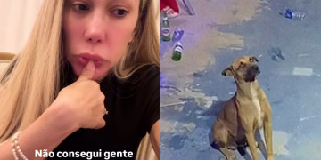 Dono de cachorro que viralizou ‘curtindo show’ de Taty Girl no Piauí aparece e nega adoção: 