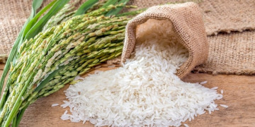 Enchente no Rio Grande do Sul: governo busca impedir falta de arroz e zera tarifa de importação