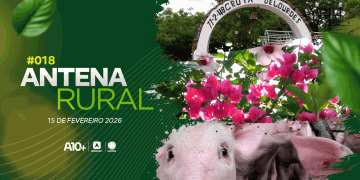 Produção de soja, criação de suínos, cavalgada e muito mais: assista ao Antena Rural (15.02.2026)