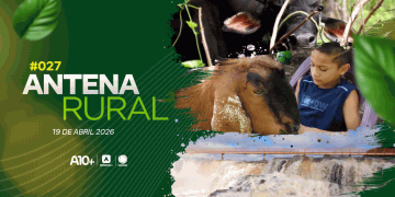 Antena Rural 19.04: cachoeira do Urubu, amizade de menino e bode, criação de galinhas e muito mais; assista!