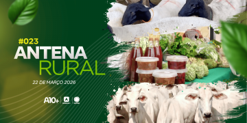 Assista agora ao Antena Rural deste domingo (22.03): pecuária impulsiona economia, receita de bolo de milho e muito mais