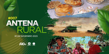 Mulheres empreendedoras no Piauí, série especial e receita: assista ao Antena Rural deste domingo (30)