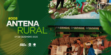 Indígenas Tabajara, colheita de melancia e soja na Chapada Grande: assista ao Antena Rural deste domingo (07)