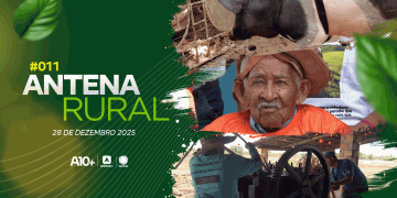 Vaqueiro mais idoso do Brasil, produção de cana-de-açúcar e porco de estimação: assista ao Antena Rural deste domingo (28)