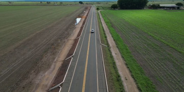 Proprietários de animais soltos  em rodovia são conduzidos à delegacia após grave acidente com motociclistas