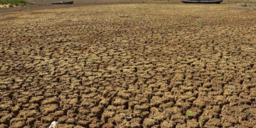 Governo altera para 90 dias decreto de situação de emergência em 82 municípios por causa da seca no Piauí