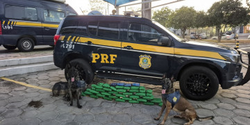 PRF prende 4 pessoas e apreende mais de 60 kg de drogas escondidas dentro de cilindros metálicos e mochilas em caminhões nas BRs do Piauí