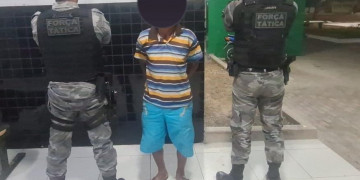 Suspeito de matar gatos dos vizinhos é preso no Piauí; arma que teria sido usada nos crimes foi apreendida