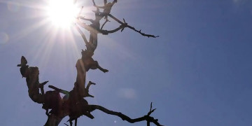 Relatório de setembro aponta calor persistente em Teresina e reforça medidas de prevenção