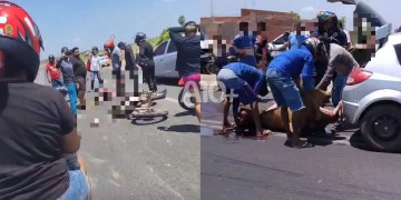Homem morre após bater motocicleta contra vaca na zona Norte de Teresina; moradores saquearam carne do animal