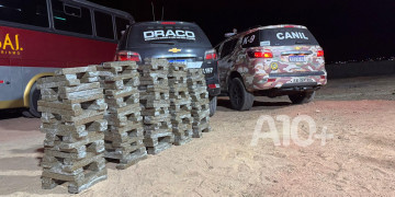 Polícia apreende mais de 250 kg de supermaconha no Piauí; entorpecentes avaliados em R$ 2 milhões