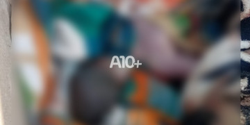 Motociclista por aplicativo encontra feto humano abandonado em matagal em Teresina