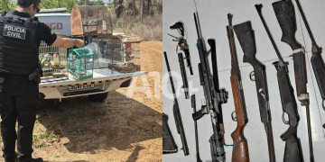 No Piauí, três homens são presos após divulgarem vídeos caçando animais silvestres nas redes sociais