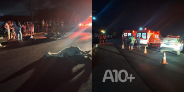 Mulher morre após bater moto contra cavalo no Piauí; filha e neto, que estavam como passageiros, ficam feridos