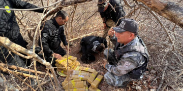 Forças de segurança seguem em operação e apreendem mais 300 quilos de drogas no litoral do Piauí; um preso