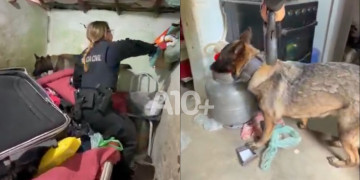 SSP-PI deflagra mais uma operação no combate ao tráfico de drogas em municípios piauienses; VÍDEO!