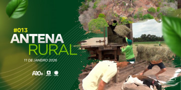Obra de arquitetura medieval, pega de carneiro e produção de feno: assista ao Antena Rural deste domingo (11.01.26)