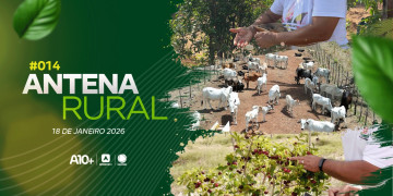 Ervas quilombolas, adestramento sonoro e muito mais: assista ao Antena Rural deste domingo (18.02.26)