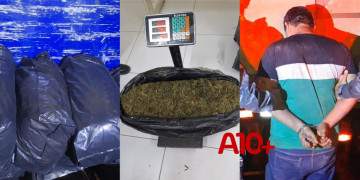 Polícia apreende mais de 120 quilos de maconha dentro de caminhão no interior do Piauí; condutor foi preso