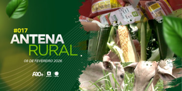 Produção de milho, criação de gado e muito mais: assista ao Antena Rural deste dia 08.02.26
