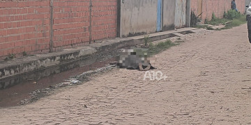 Homem é morto a pedradas na zona Leste de Teresina; suspeito foi preso