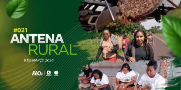 Antena Rural 08.03: quebradeiras de coco babaçu, palha de carnaúba em arte e muito mais; assista agora!