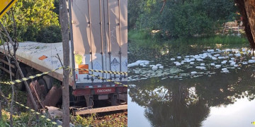 Motorista perde controle e morre após caminhão carregado de produtos tóxicos cair dentro de riacho no Piauí