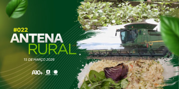 Criação de búfalos, cultivo de cacau e outros temas são destaques do Antena Rural deste domingo 15.03.26