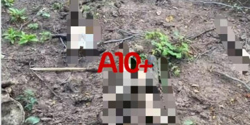 Ossada humana é encontrada por populares em área de matagal no interior do Piauí