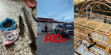 Polícia Civil deflagra operação, cumpre mandados e prende faccionados envolvidos com vários crimes no Piauí