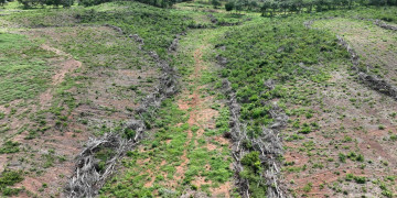 Semarh identifica mais de 1.500 hectares de desmatamento ilegal em operação no Piauí e estima multas de R$ 2 milhões