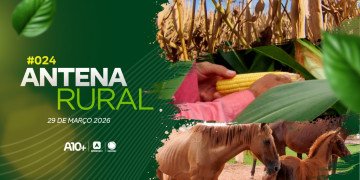 Assista agora ao Antena Rural deste domingo (29.03): Rosas do deserto, receita de moqueca de peixe e muito mais