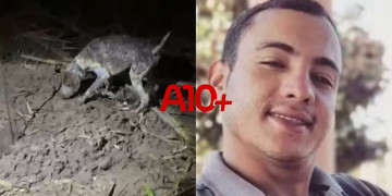 VÍDEO: exato momento em que cão encontra corpo de Francisco Alan enterrado em cova rasa no Piauí