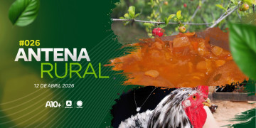 Antena Rural 12.04: galinha sertaneja balão, pesquisa acerola, receita de buchada e muito mais