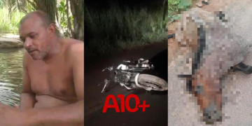 Garçom morre após bater motocicleta contra cavalo no Piauí