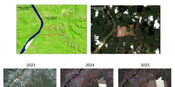 Desmatamento recua quase 60% no Piauí, maior redução entre estados do Cerrado