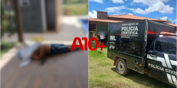 Idoso morre após ser atacado por abelhas no interior do Piauí