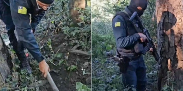 Polícia Militar apreende tabletes de maconha enterrados em área de mata na zona Sul de Teresina