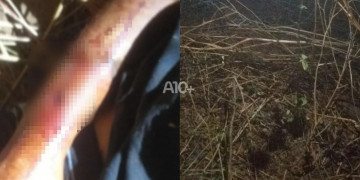 Homem é morto com tiros nas costas no interior do Piauí; polícia investiga