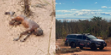 Corpo em avançado estado de decomposição é encontrado na zona Sul de Teresina; polícia investiga