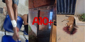 Alvo de ataque foge, mas tiroteio deixa idoso e mulher feridos e cachorro morto em Teresina