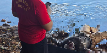 Corpo é encontrado no Rio Parnaíba em Teresina; pode ser de idoso desaparecido