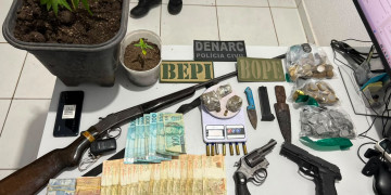 Polícias Civil e Militar realizam prisões em operação no Piauí; agentes encontram muda de maconha cultivada na casa de um dos alvos