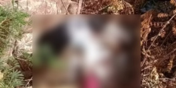 Corpo de mulher amarrado e enrolado em lençóis é encontrado em matagal no Piauí