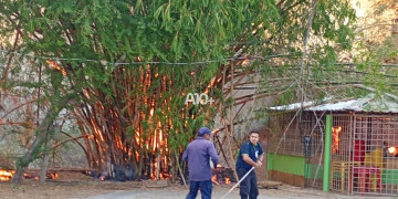 Incêndio de grandes proporções atinge área de mata na Av. Raul Lopes, em Teresina; VÍDEO!